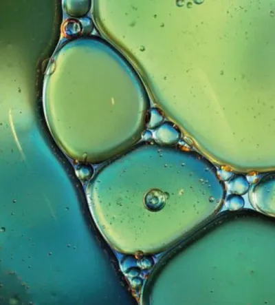 The Symbiocene. Where breakthrough biotechnology opens the path to a new symbiosis between humans, food and nature.