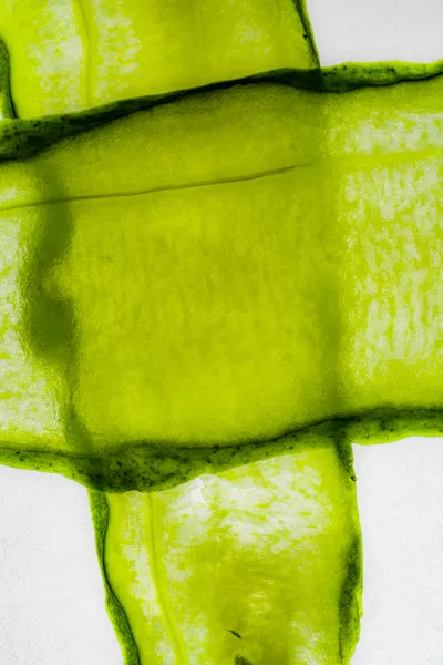 The Power of Algae. When the sensorial richness of algae meets the living force of the ocean, for the benefit of the skin.