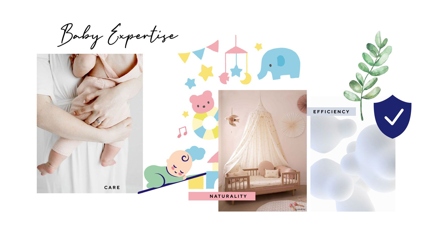 Case Study MILTON Brand revamp